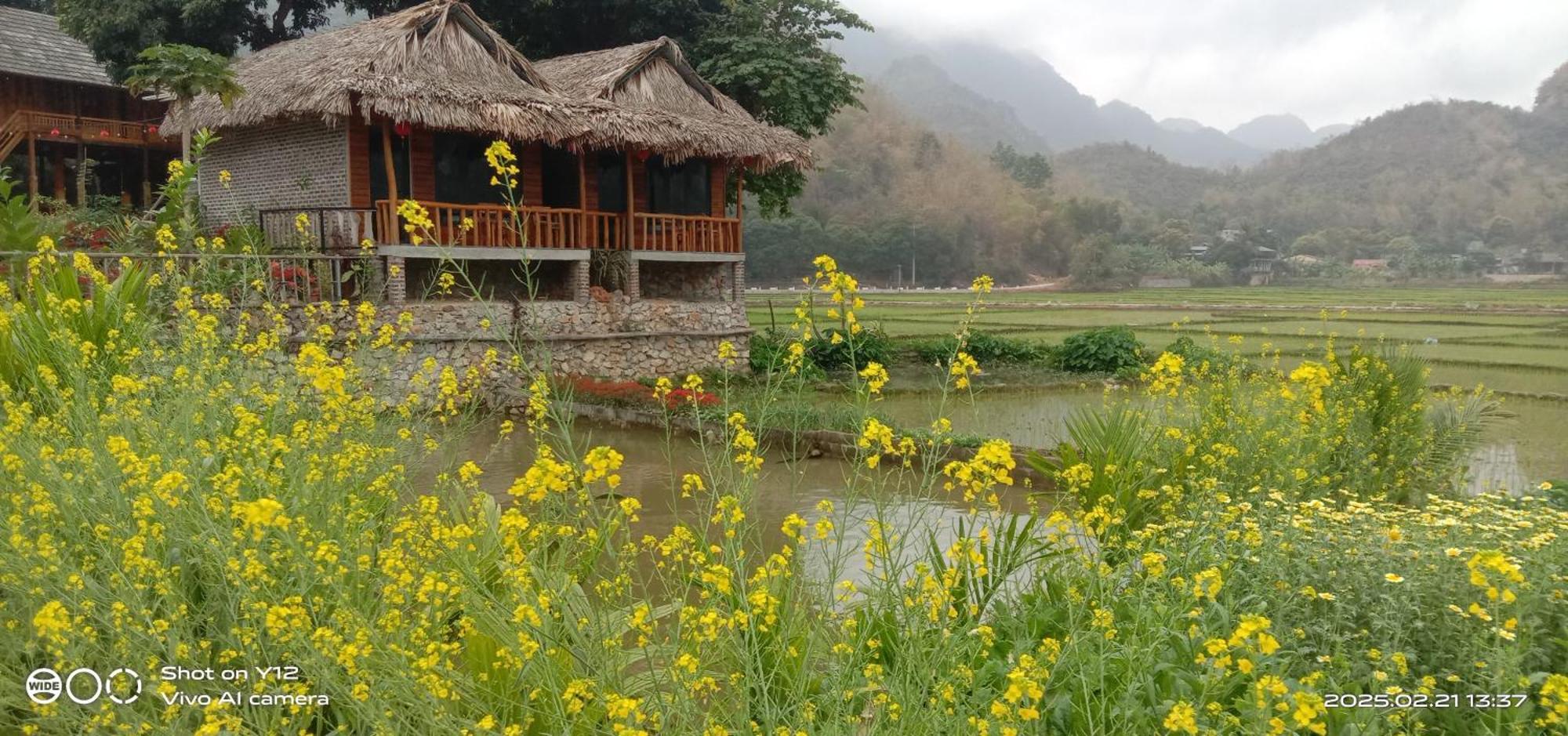 Mai Chau Hillside Homestay Dış mekan fotoğraf